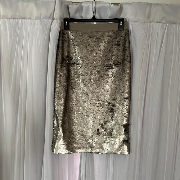 Banana Republic Dresses & Skirts - Banana Republic Sequin skirt